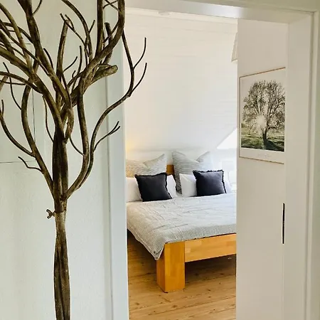 Wohlfuehlwohnung Mit Parkplatz, Zentral, Schnelles Wlan, Bodensee & Schweiz Naehe Appartement